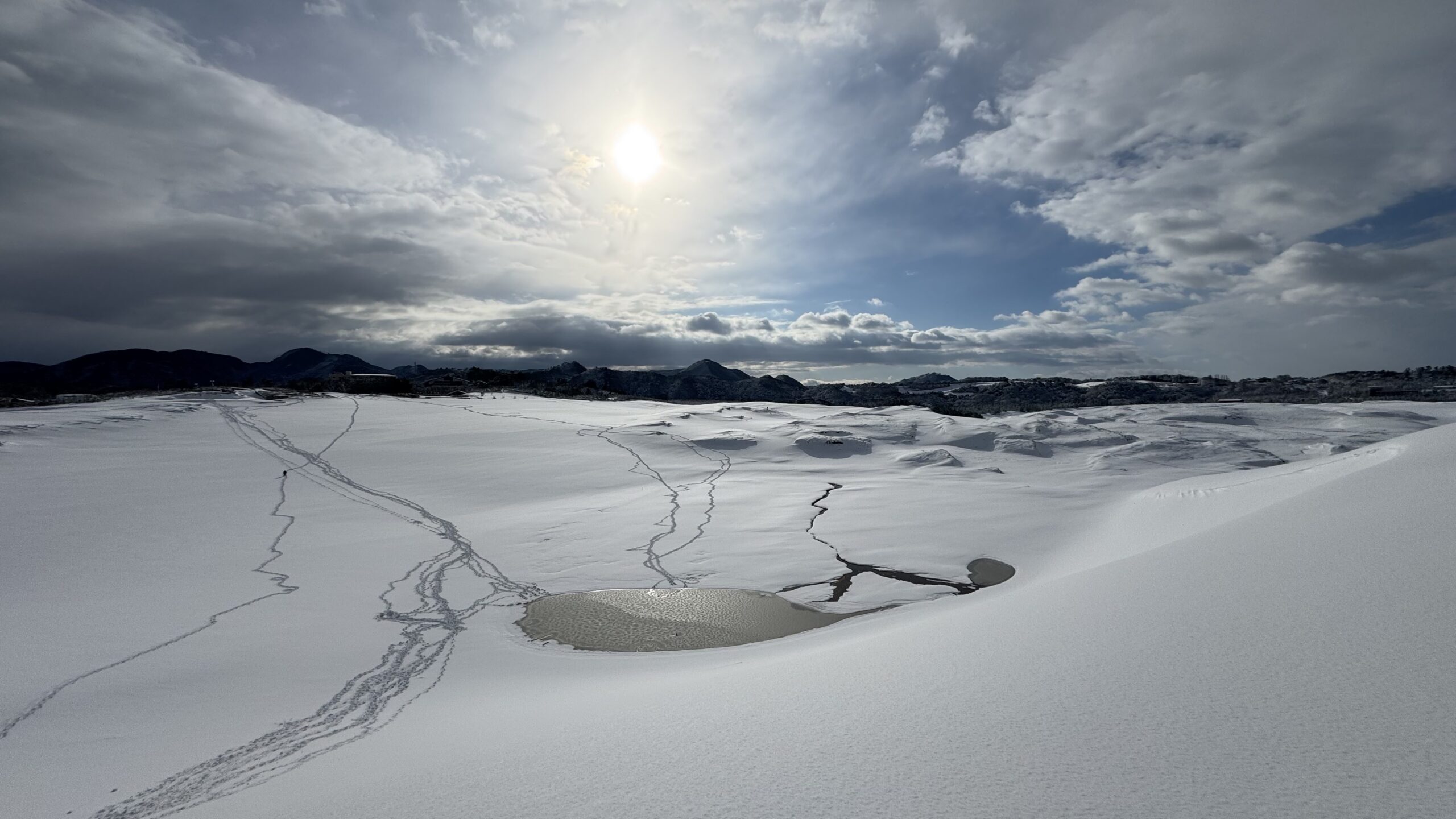 Field Only Journal を創刊しました！