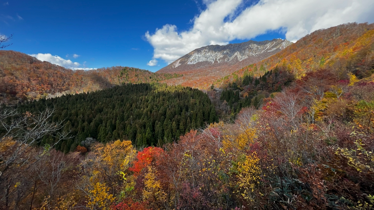 【紅葉の大山登山】11月14日募集しています🍁